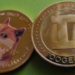 The Rise of Dogecoin Is It Worth Investing in the Meme Currency